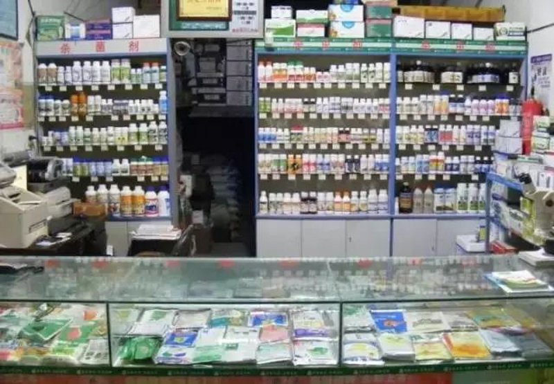 农业产业新风向：种子批发行业的现状与发展趋势