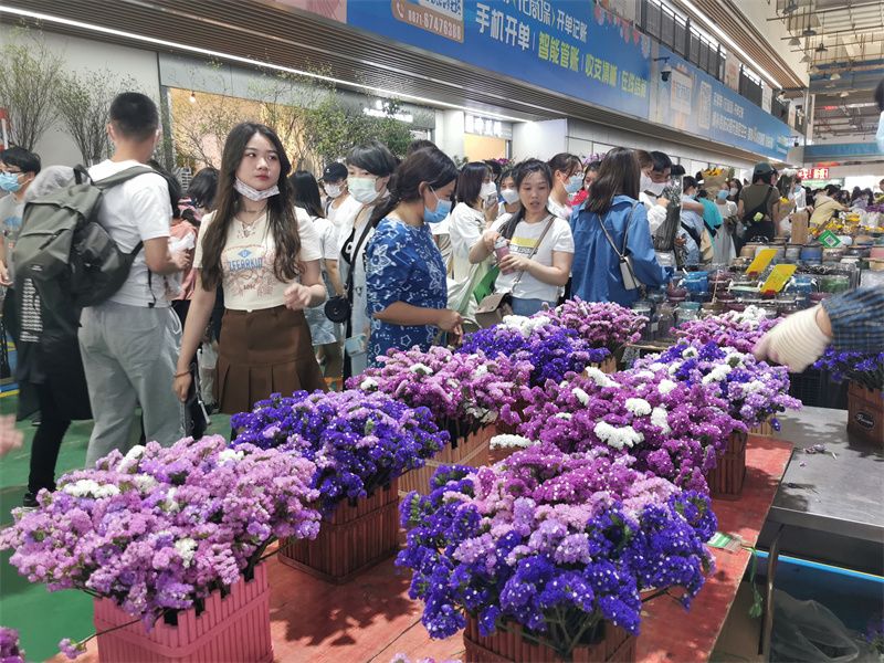 昆明农资行业：绿意盎然，田间地气