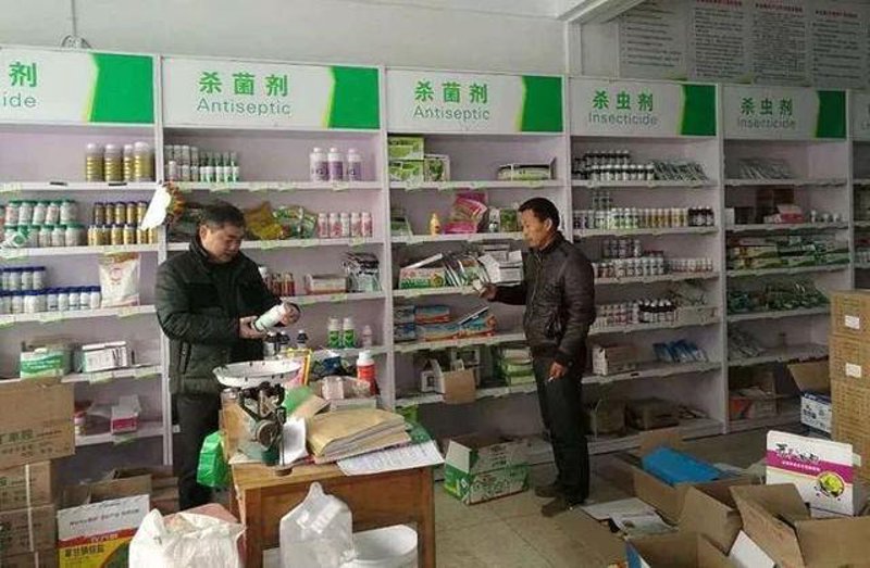 购买化肥小技巧：选择优质肥料，助您丰产丰收