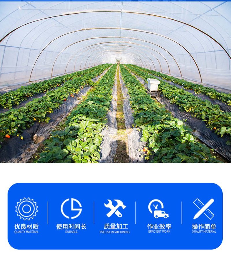 如何选择高质量的种子批发源