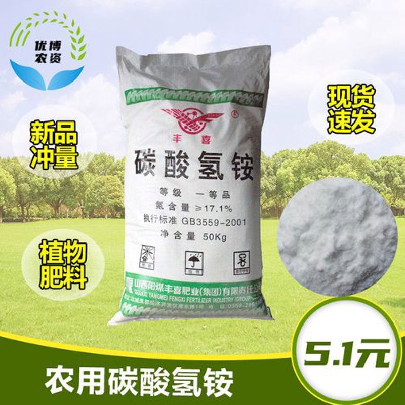 把握种子批发的新趋势